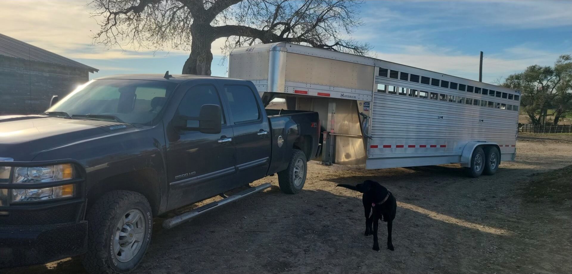 Livestock trailer with hydraulic jack.